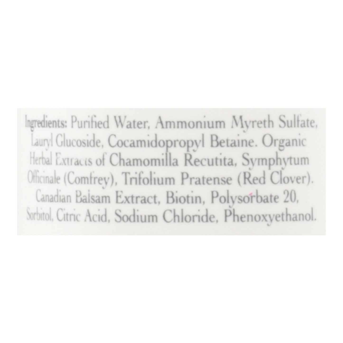 Stony Brook Shampoo Unscented - 16 Fl Oz