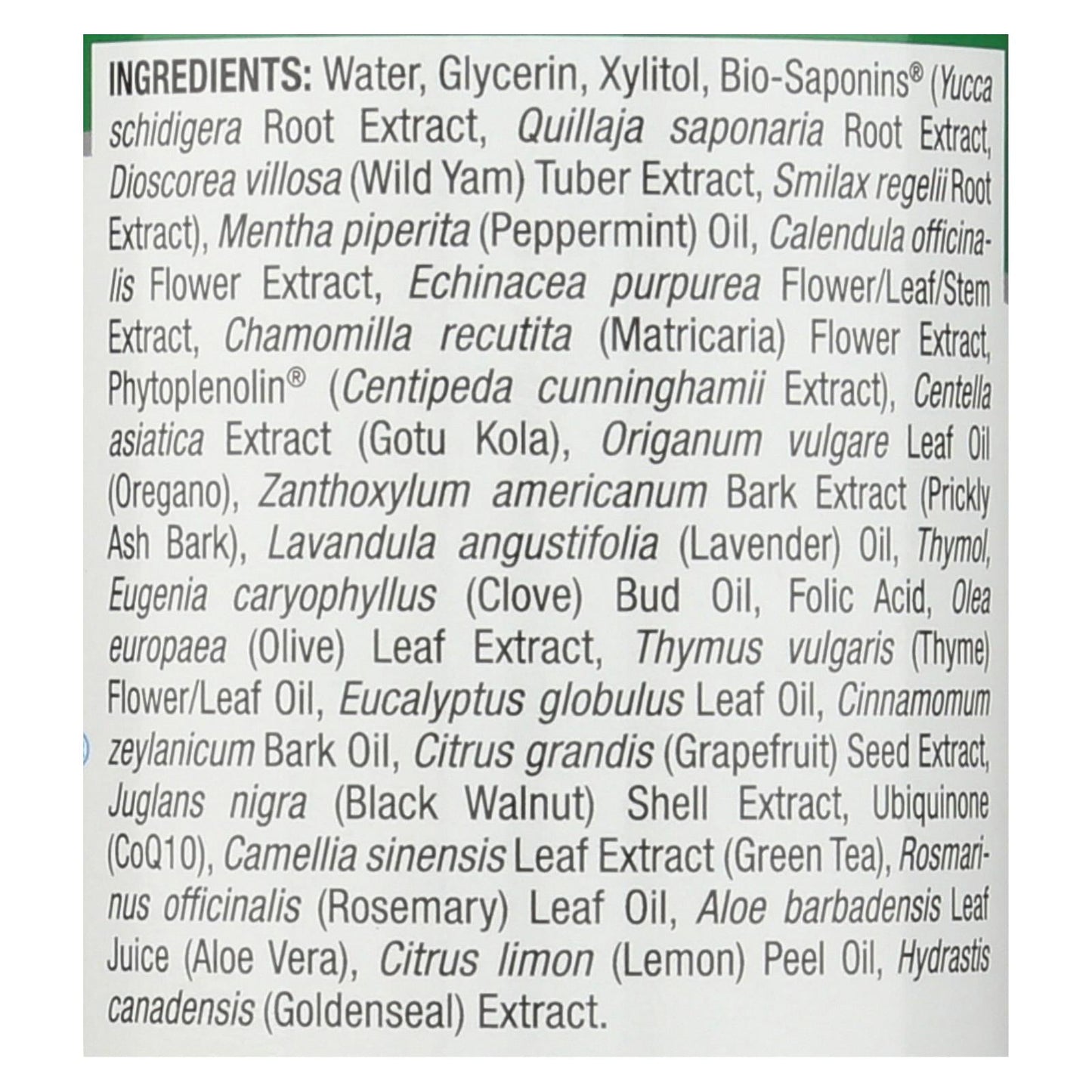 Nature's Answer Cool Mint Alcohol-Free Mouthwash 16 Fl Oz