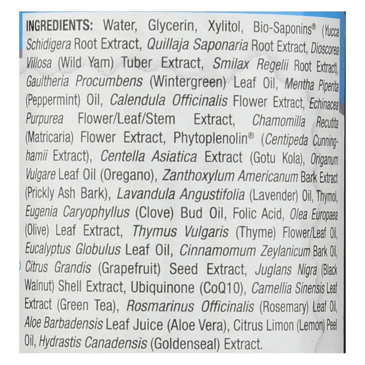 Nature's Answer Winter Mint Alcohol-Free Mouthwash 16oz