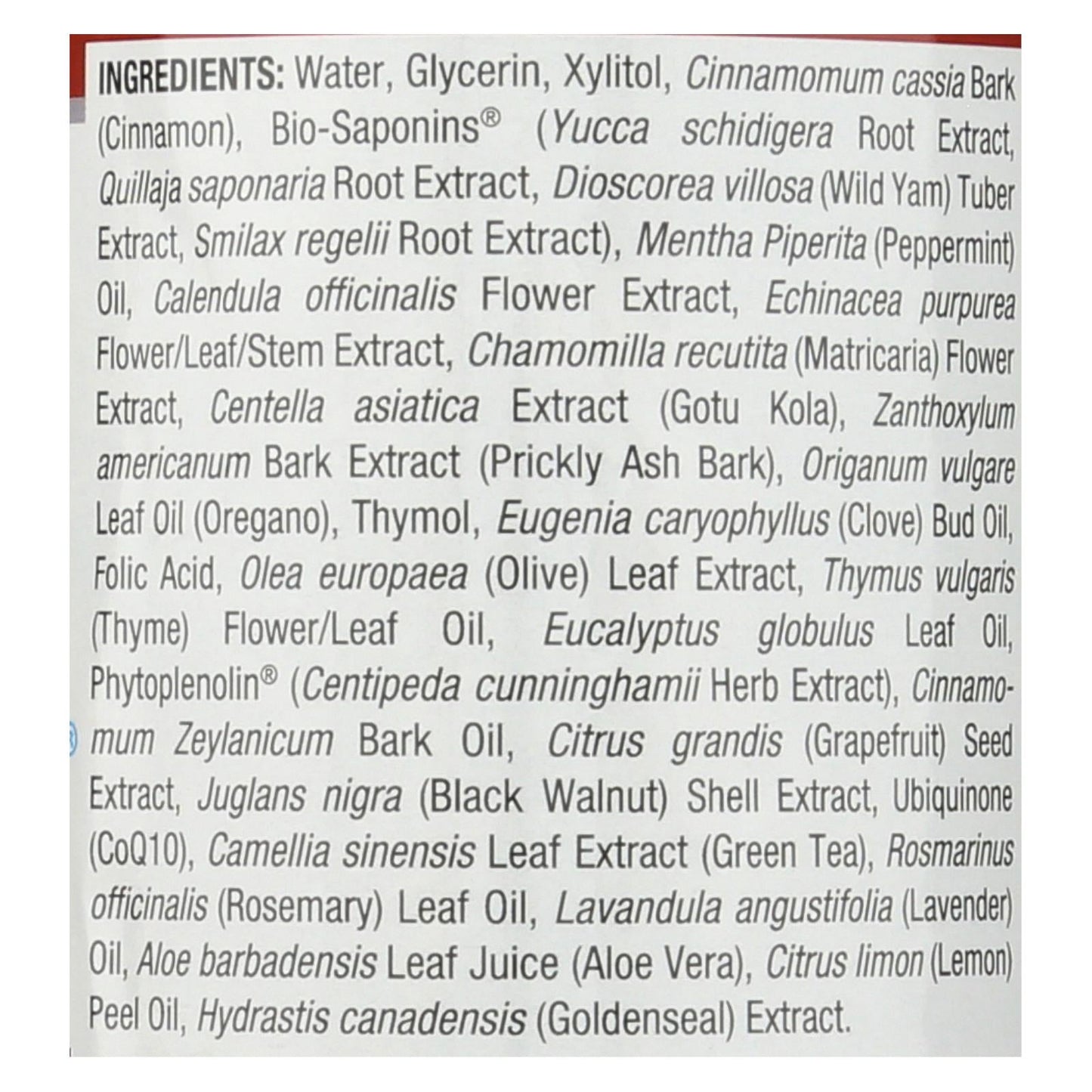 Nature's Answer Alcohol-Free Cinna Mint Mouthwash 16oz