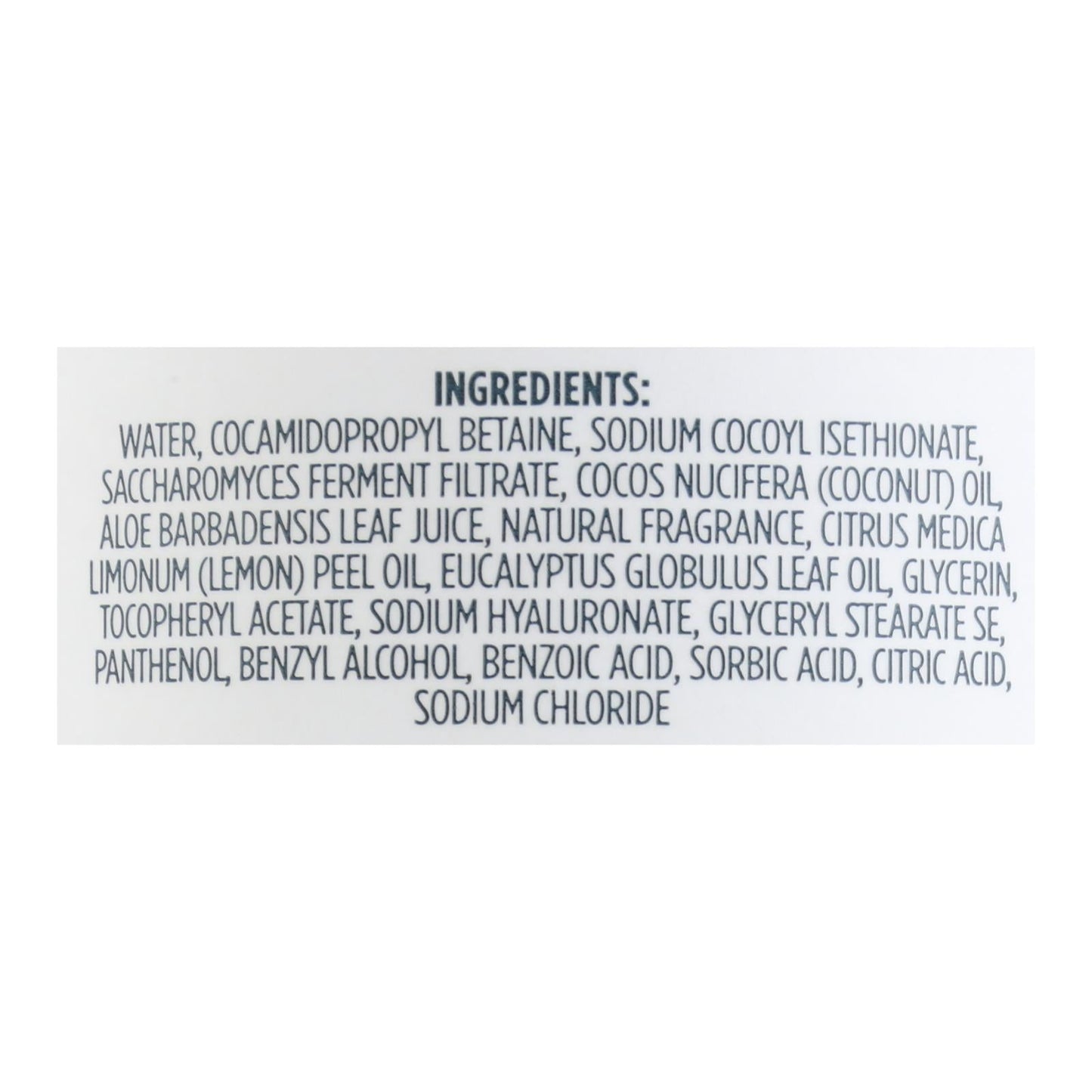 Kirk's Natural - Hand Soap Lemon Eucalyptus - 12 Fz