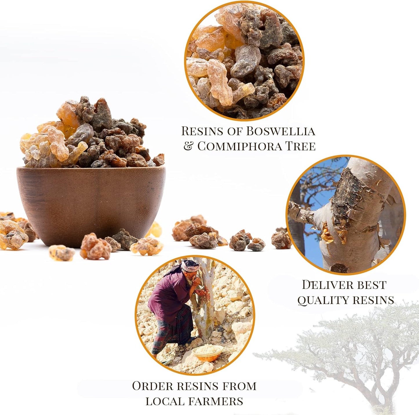 Igneous Products Frankincense and Myrrh Resin 4 oz 113.4 Grams Biblical Sacred Incense 2024 Harvest Pure Frankincense for Homes Churches and Spiritual Rituals